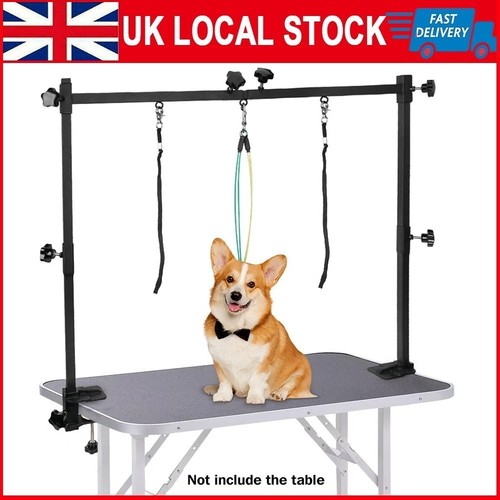 Dog pet grooming table - grooming,