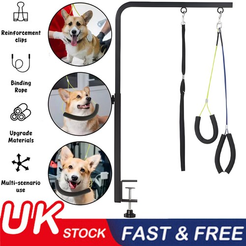 Dog grooming table - grooming,