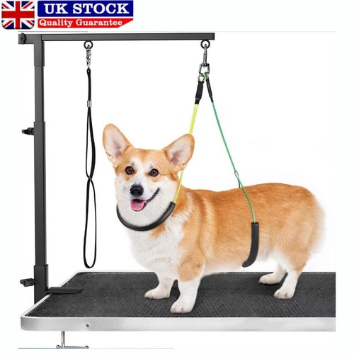 Pet grooming arm with clamp - pet,