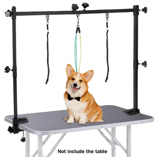 Dog pet grooming table - grooming,