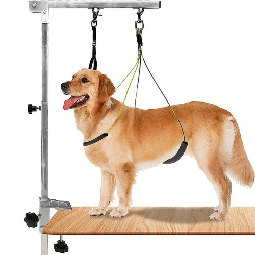 Pet grooming arm with clamp - with,