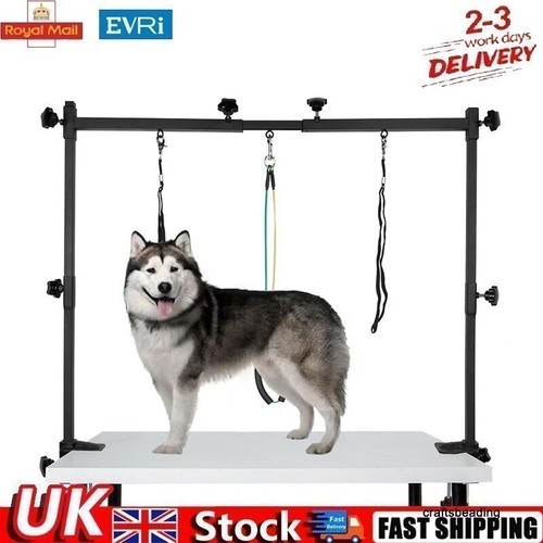 Pet dog grooming - dog, table