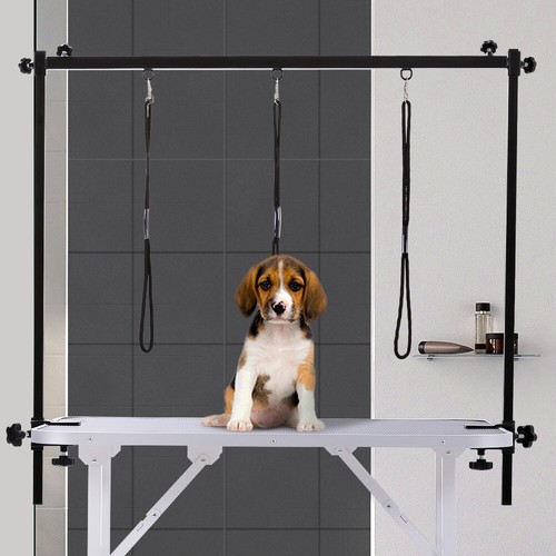 Pet dog grooming table - grooming,