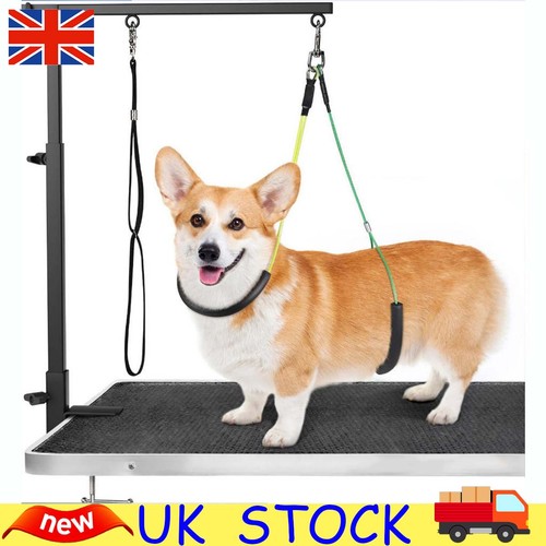 Pet grooming arm with clamp - arm,