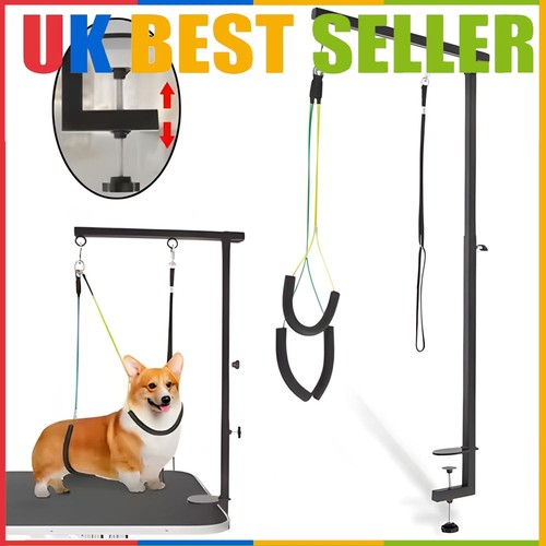 Pet grooming table - grooming, arm