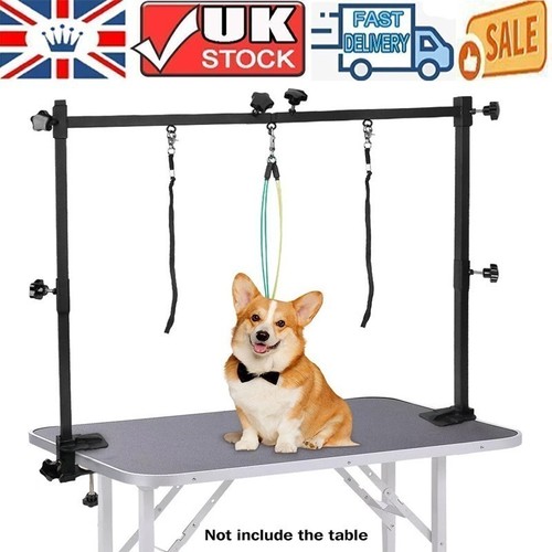 Dog pet grooming table - grooming,