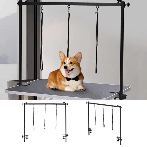 Dog pet grooming table - dog,
