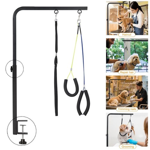 Pet grooming arm - pet, cat