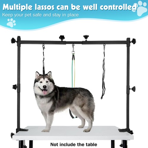 Dog pet grooming table - grooming,