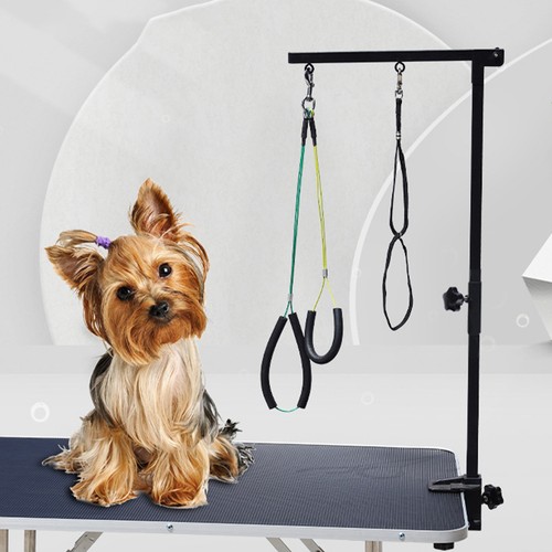 Pet grooming arm with clamp - pet,
