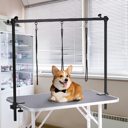 Dog cat pet grooming - cat, arm